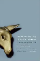 Cover of Return to the City of White Donkeys
