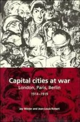 Cover of Capital cities at war
