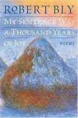 Cover of My Sentence Was a Thousand Years of Joy