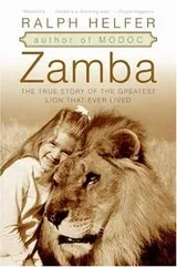 Cover of Zamba
