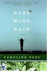 Cover of East Wind, Rain