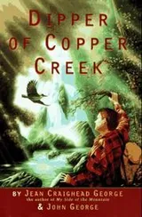 Cover of Dipper of Copper Creek