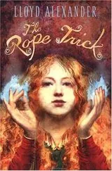 Cover of The rope trick
