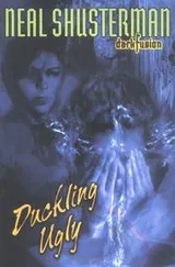 Cover of Duckling ugly