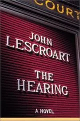 Cover of The hearing