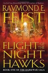 Cover of Flight of the Nighthawks