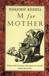 Cover of M for Mother