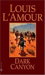 Cover of Dark Canyon