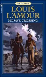 Cover of Mojave crossing