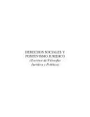 Cover of Derechos sociales y positivismo jurídico