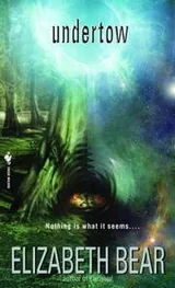 Cover of Undertow