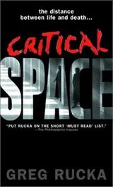 Cover of Critical space