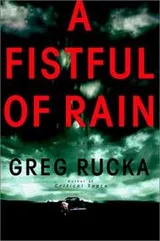 Cover of A fistful of rain
