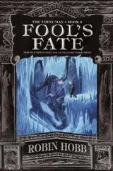 Cover of Fool's fate