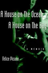 Cover of A house on the ocean, a house on the bay
