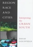 Cover of Region, race, and cities