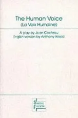 Cover of The human voice