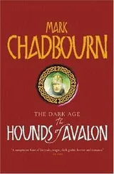 Cover of The Hounds of Avalon (Dark Age)