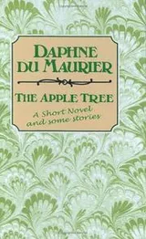 Cover of The apple tree