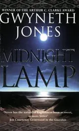 Cover of Midnight Lamp