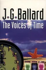 Cover of The Voices of Time