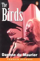 Cover of The Birds