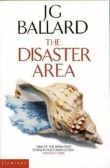 Cover of The disaster area