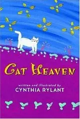 Cover of Cat Heaven