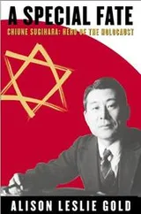 Cover of A special fate