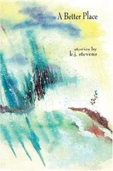 Cover of A Better Place