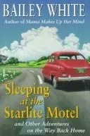 Cover of Sleeping at the Starlite Motel