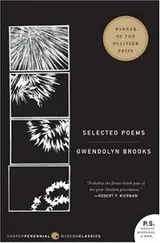 Cover of Selected Poems (P.S.)