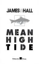 Cover of Mean High Tide