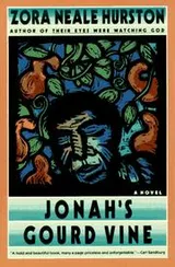 Cover of Jonah's gourd vine