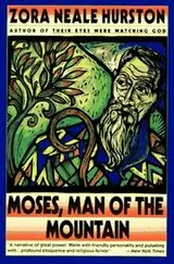 Cover of Moses, man of the mountain