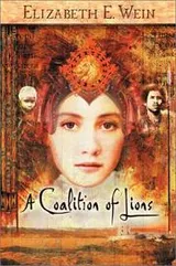 Cover of A coalition of lions