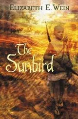 Cover of The sunbird