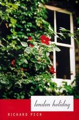 Cover of London holiday