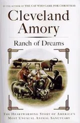 Cover of Ranch of dreams