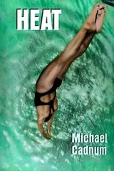 Cover of Heat