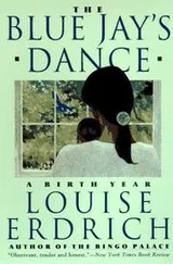 Cover of The Blue Jay's Dance
