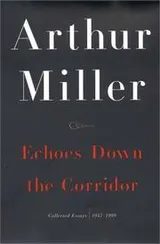 Cover of Echoes down the corridor