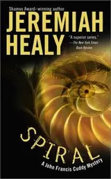 Cover of Spiral (John Francis Cuddy Mystery Series)