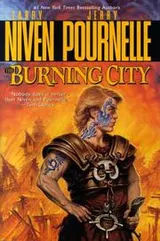 Cover of The burning city