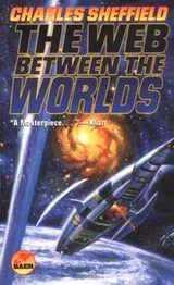 Cover of The web between the worlds