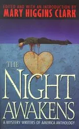 Cover of The Night Awakens