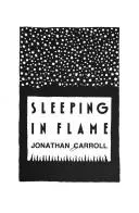 Cover of Sleeping in flame