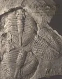 Cover of Palaeobiology