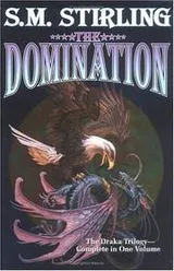 Cover of The domination