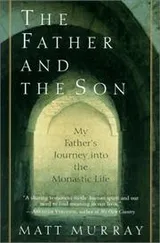 Cover of The Father and the Son